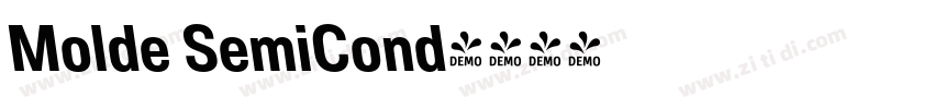 Molde SemiCond字体转换